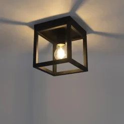 Plafondlampen-QAZQA plafondlampen cage zwart e27
