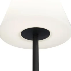 Staande Lampen-QAZQA staande buitenlampen virginia zwart e27