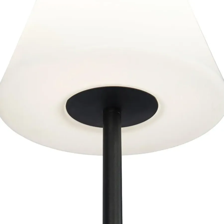 Staande Lampen-QAZQA staande buitenlampen virginia zwart e27
