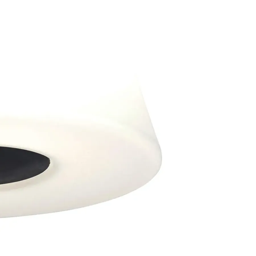 Staande Lampen-QAZQA staande buitenlampen virginia zwart e27
