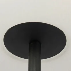 Staande Lampen-QAZQA staande buitenlampen virginia zwart e27