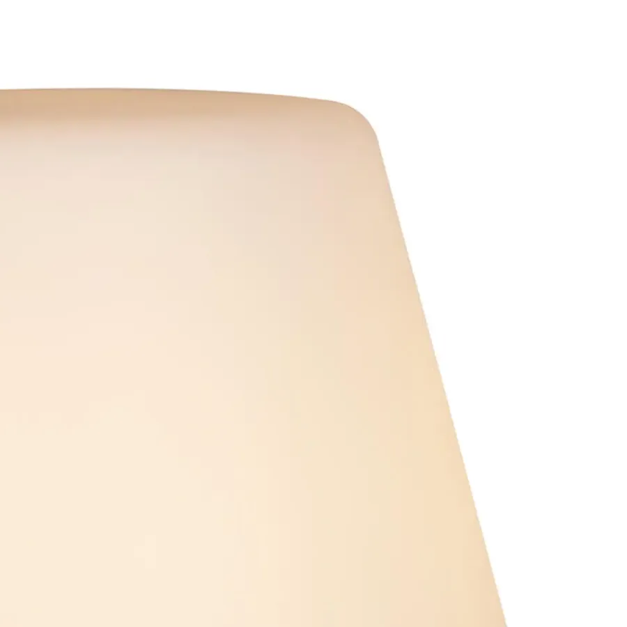 Staande Lampen-QAZQA staande buitenlampen virginia fl zwart e27
