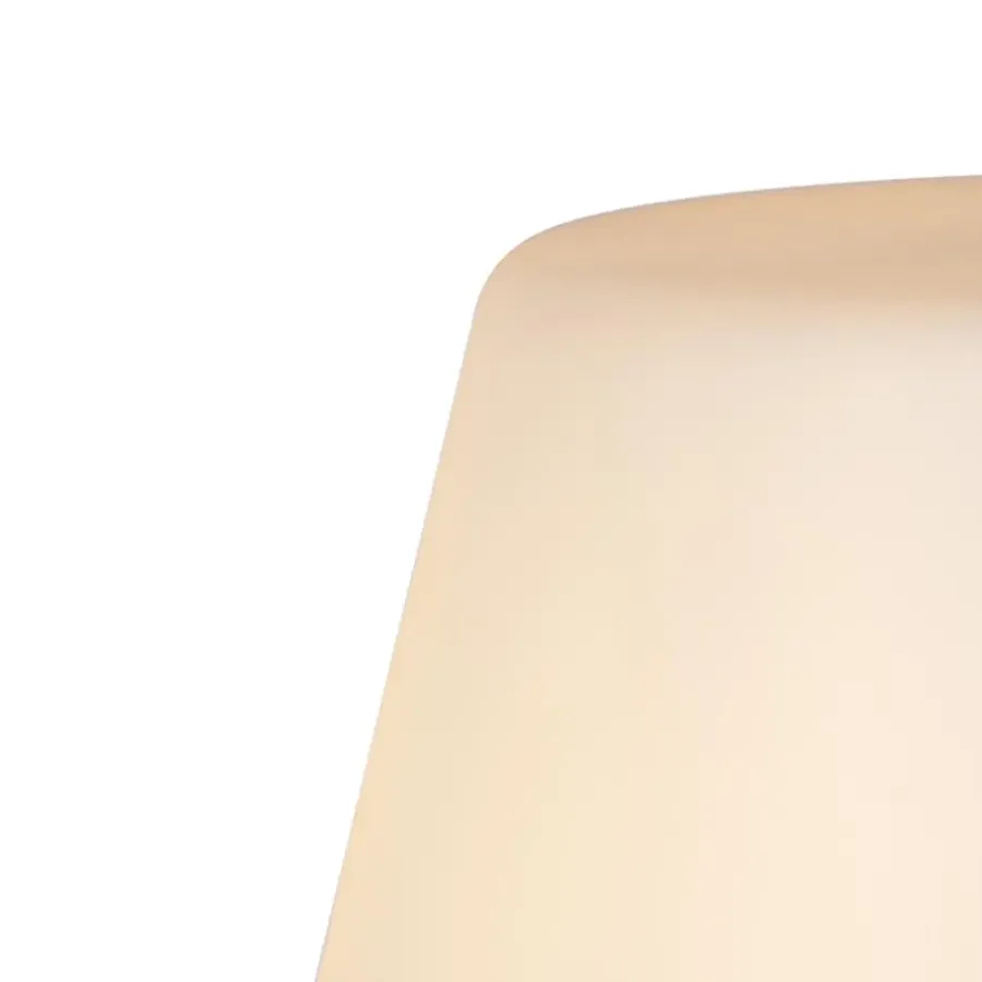 Staande Lampen-QAZQA staande buitenlampen virginia fl zwart e27
