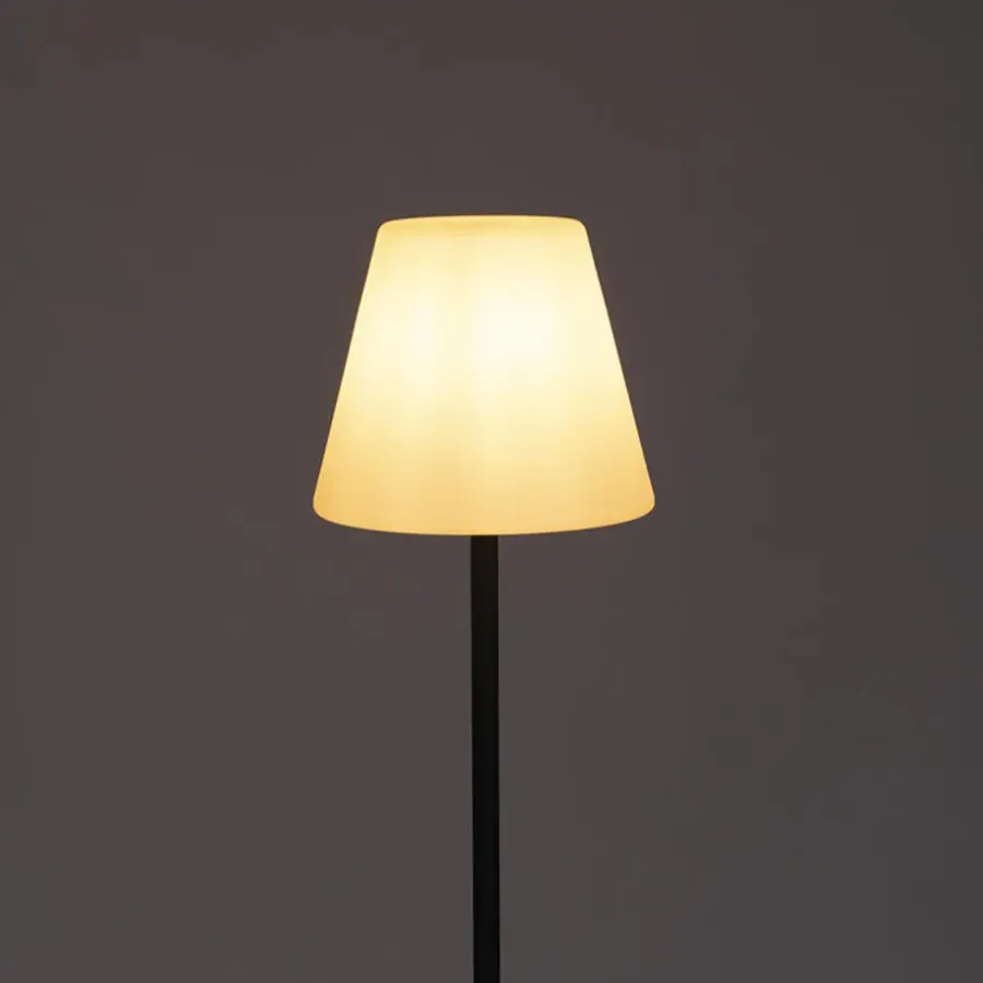 Staande Lampen-QAZQA staande buitenlampen virginia fl zwart e27