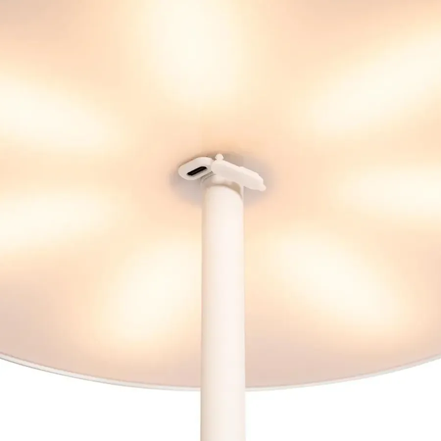 Buitenverlichting|Staande Lampen-QAZQA staande buitenlampen keira wit geïntegreerde led