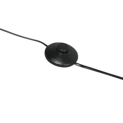 QAZQA vloerlampen ilse zwart e27