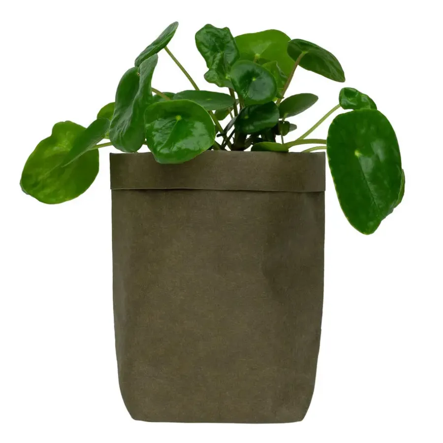 Bloempotten Voor Binnen-QUVIO Plantenzak uitwasbaar 10x10x20cm - Donker groen