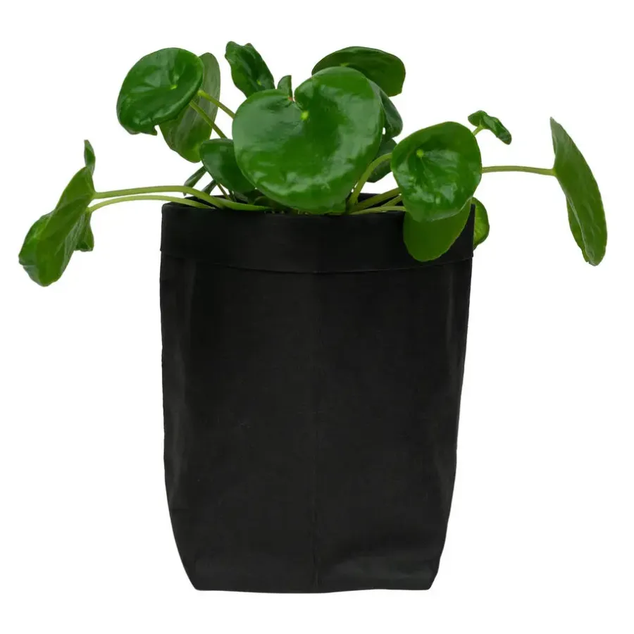 Bloempotten Voor Binnen-QUVIO Plantenzak uitwasbaar 10x10x20cm - Zwart