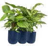 QUVIO Wand bloempot-trio plastic - Donker Blauw - POPPY