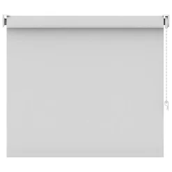 Leen Bakker Rolgordijn lichtdoorlatend - sneeuwwit - 60x160 cm