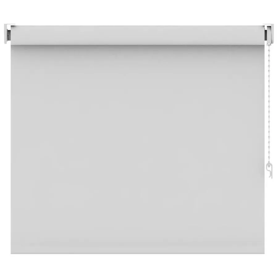 Leen Bakker Rolgordijn lichtdoorlatend - sneeuwwit - 60x160 cm
