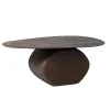 Salontafels-Giga Meubel Salontafel Organisch 100cm - Bruin Mangohout - Ebbe