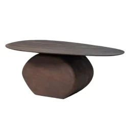 Salontafels-Giga Meubel Salontafel Organisch 100cm - Bruin Mangohout - Ebbe