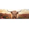 Reinders Schilderij Lente schotse hooglander - 52 x 156cm - Bruin
