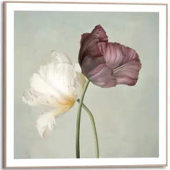 Schilderijen-Reinders Schilderij Tulips - 50 x 50cm - Groen