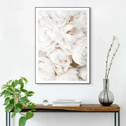 Schilderijen-Reinders Schilderij Witte rozen - 70 x 50cm - Wit
