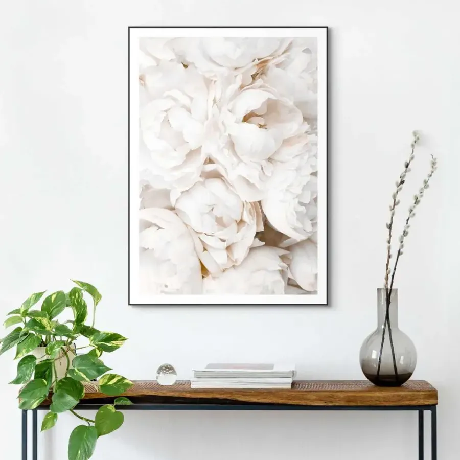 Schilderijen-Reinders Schilderij Witte rozen - 70 x 50cm - Wit