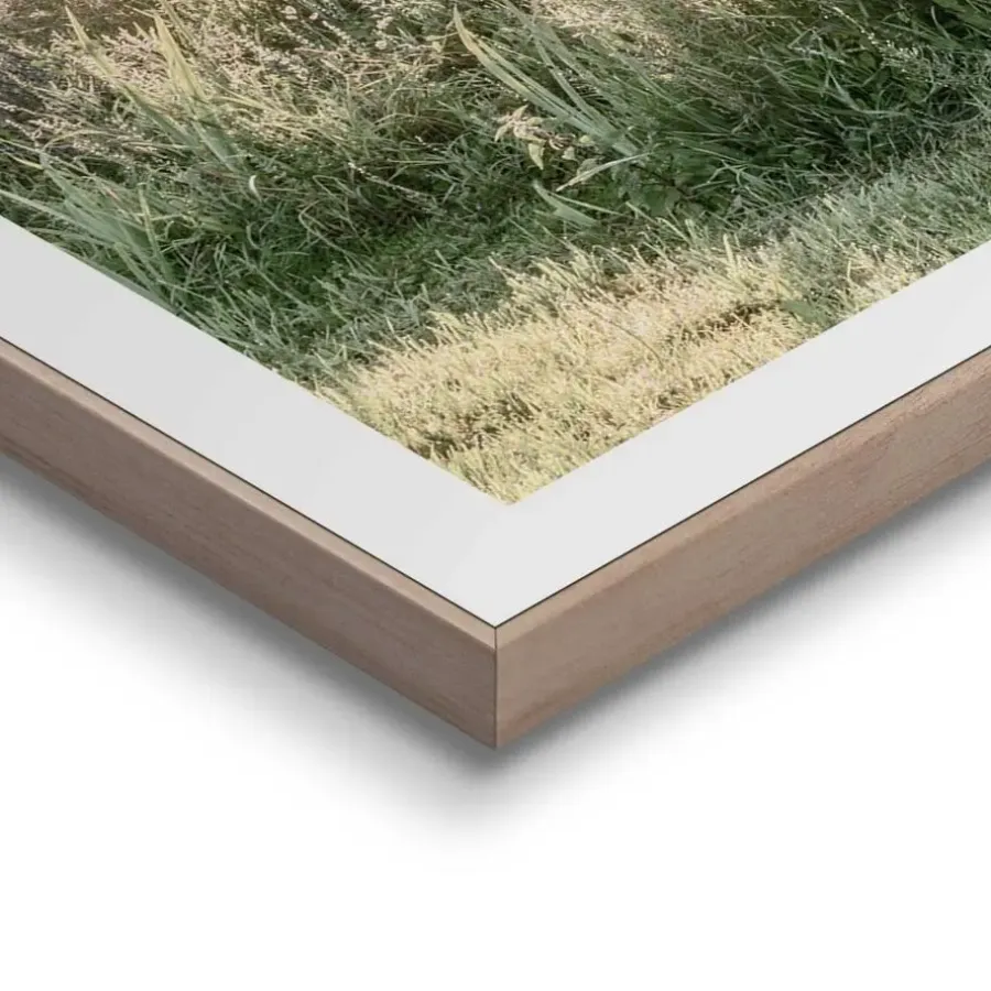 Posters-Reinders Set poster met lijst - Nature Vibe