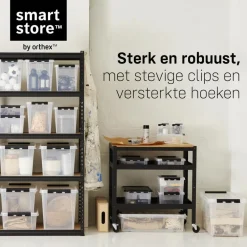 SmartStore Stevige Opbergbox 14L Set van 2 - 40x30x18cm