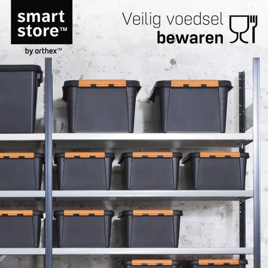 Opbergboxen-SmartStore Stevige Opbergbox 14L Set van 3 - 40x30x19cm