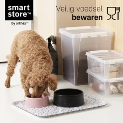 Opbergboxen-SmartStore Stevige Opbergbox 52L Set van 2 - 50x39x41cm