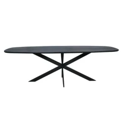 Houten Eettafels|Ovale Eettafels-Starfurn - Eettafel Ferris - Zwart - 110x240x76 cm