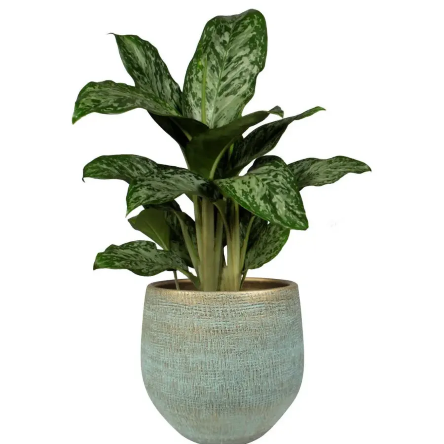 Ter Steege Steege Plantenpot - moderne look - blauw - 36 x 32 cm
