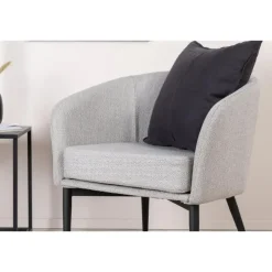 Fauteuils-Svea - Liro fauteuil - grijs