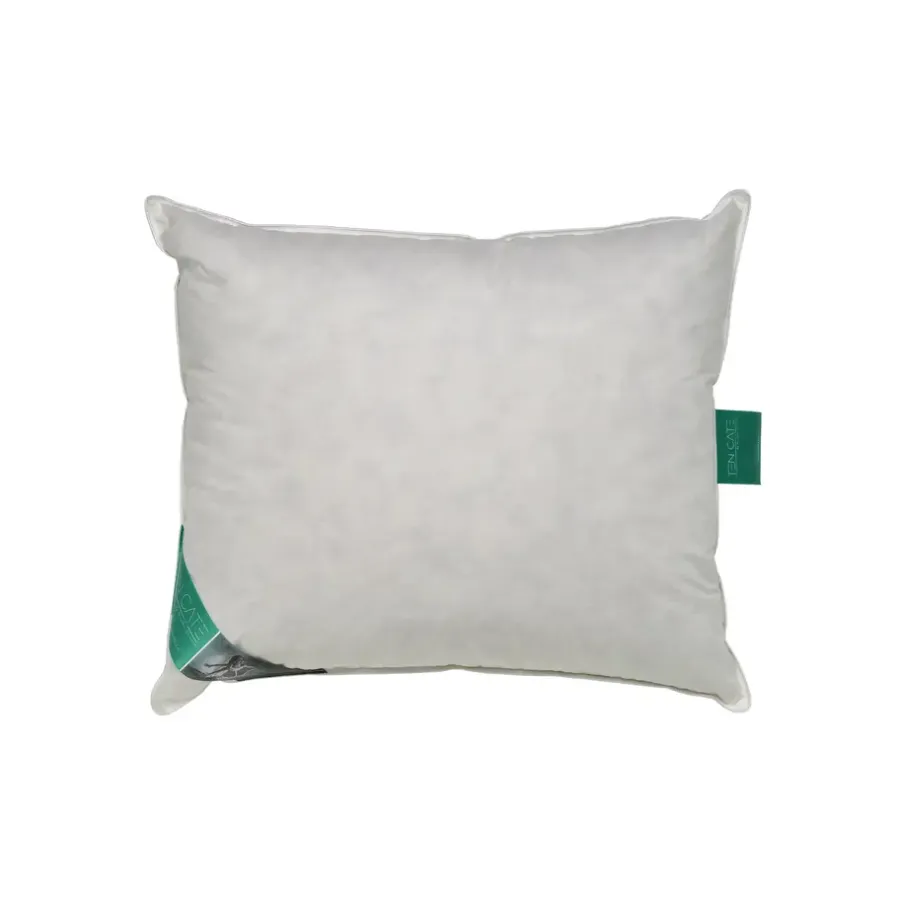 Ten Cate 100% Eendenveren Hoofdkussen - 60x70