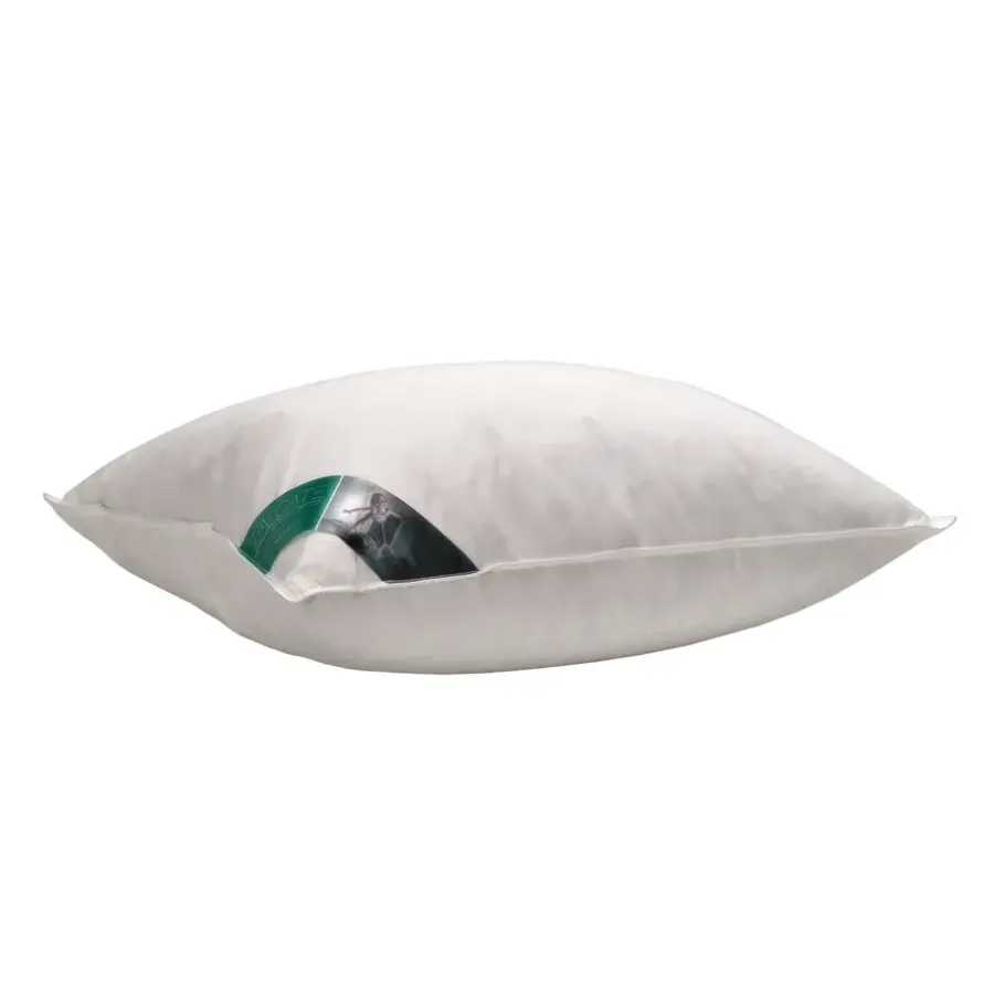 Ten Cate 100% Eendenveren Hoofdkussen - 60x70