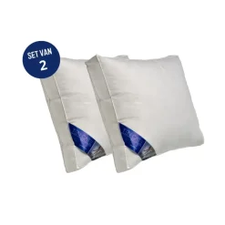Ten Cate boxkussen - halfdons - 60x70 - 2 stuks