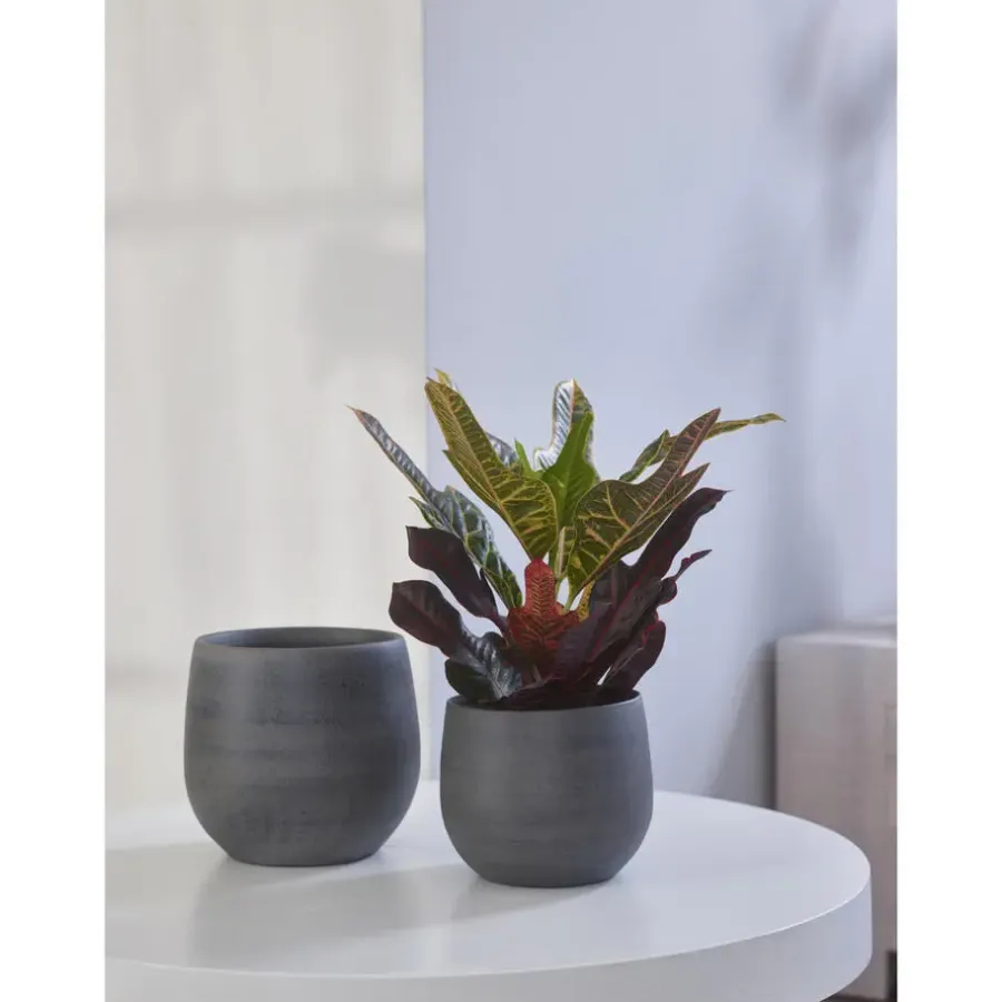 Bloempotten Voor Binnen-Ter Steege Plantenpot - moderne look - grafiet - 18 x 16 cm