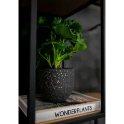 Ter Steege Plantenpot/Bloempot Lava Stone - zwart - D15 x H13 cm