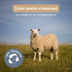 Troonz BV Troonz Dekbed Texelse Scheerwol - 4 Seizoenen