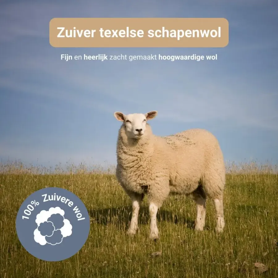 Troonz BV Troonz Dekbed Texelse Scheerwol - 4 Seizoenen