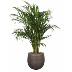 Ter Steege TS Collection plantenpot - Lydia - paars - 20 x 22 cm - keramiek