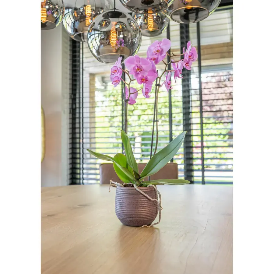 Ter Steege TS Collection plantenpot - Lydia - paars - 20 x 22 cm - keramiek