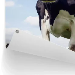 Tuindecoratie-Reinders Tuinposter Dutch Cow - 80 x 60cm - Groen
