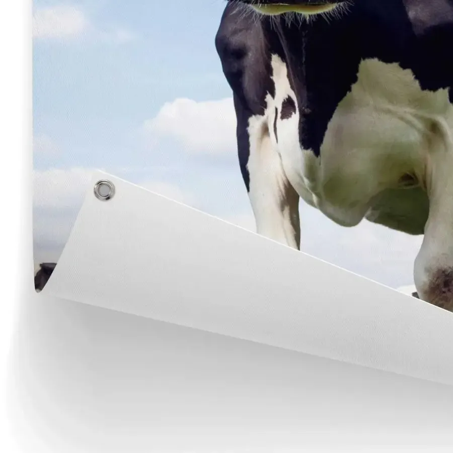 Tuindecoratie-Reinders Tuinposter Dutch Cow - 80 x 60cm - Groen