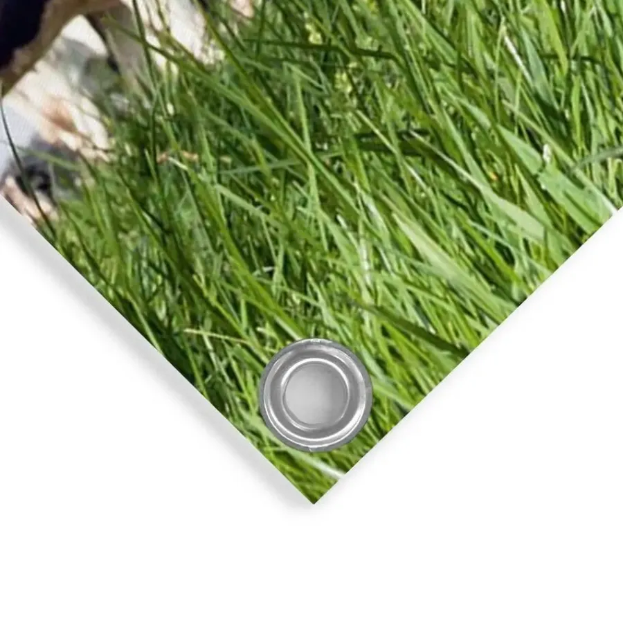 Tuindecoratie-Reinders Tuinposter Dutch Cow - 80 x 60cm - Groen