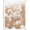 Tuindecoratie-Reinders Tuinposter Katoentak - 80 x 60cm - Beige