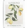 Tuindecoratie-Reinders Tuinposter Limoni - 80 x 60cm - Geel