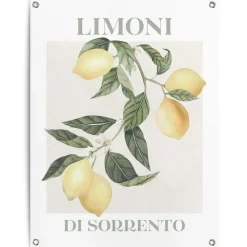 Tuindecoratie-Reinders Tuinposter Limoni - 80 x 60cm - Geel