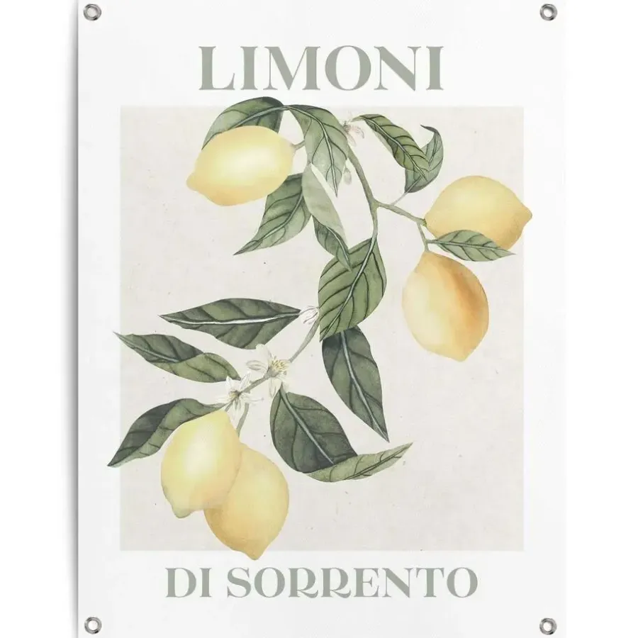 Tuindecoratie-Reinders Tuinposter Limoni - 80 x 60cm - Geel