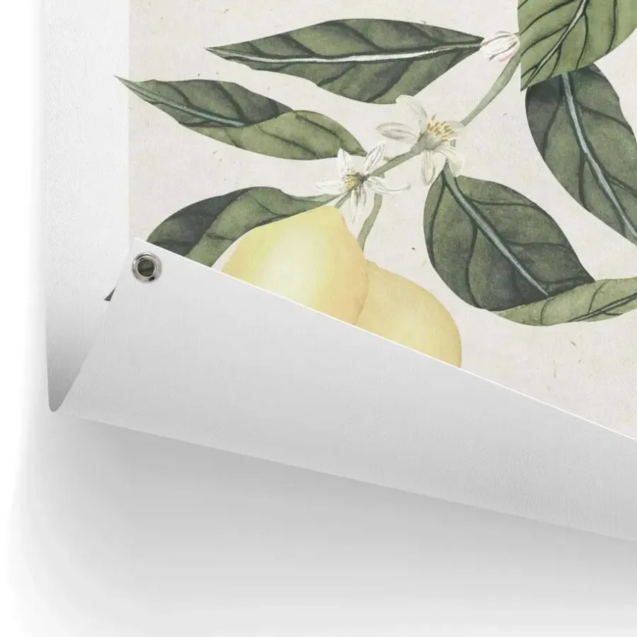 Tuindecoratie-Reinders Tuinposter Limoni - 80 x 60cm - Geel