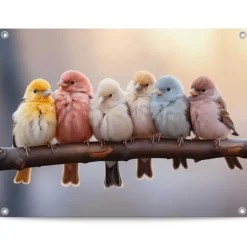Reinders Tuinposter Pastel Birds - 60 x 80cm - Bont