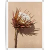 Tuindecoratie-Reinders Tuinposter Schaduw bloem - 80 x 60cm - Bruin