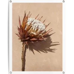 Tuindecoratie-Reinders Tuinposter Schaduw bloem - 80 x 60cm - Bruin