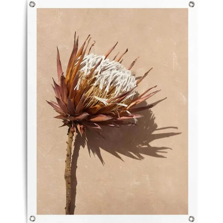 Tuindecoratie-Reinders Tuinposter Schaduw bloem - 80 x 60cm - Bruin