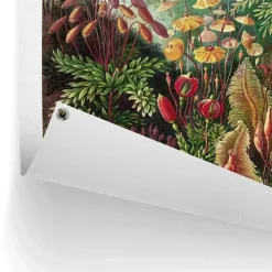 Reinders Tuinposter Sea Flora - 80 x 60cm - Groen
